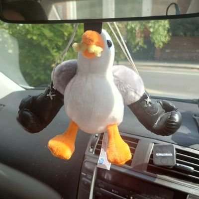 Scarfy75's profile picture. 