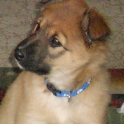 sargisepp's profile picture. 