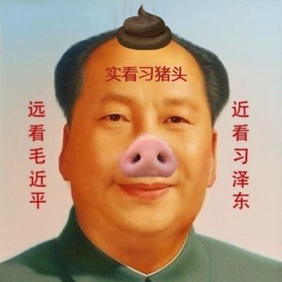 PaiZhe57000's profile picture. 鄙人属左派，但鄙人反毛泽东，中国的所谓“毛派”“毛主义者”基本上都是极右翼的纳粹法西斯主义暴徒。极左和极右本质上是孪生兄弟，川粉和毛粉是同类狂徒。