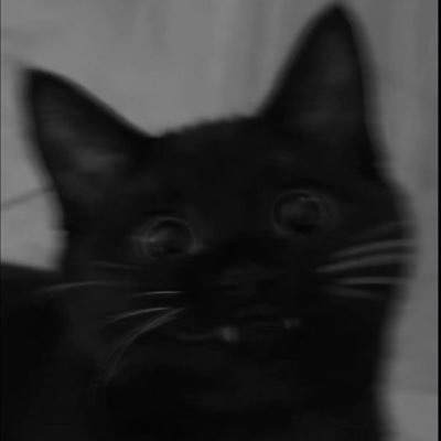 sorryimhaylee_'s profile picture. where is my mind ?