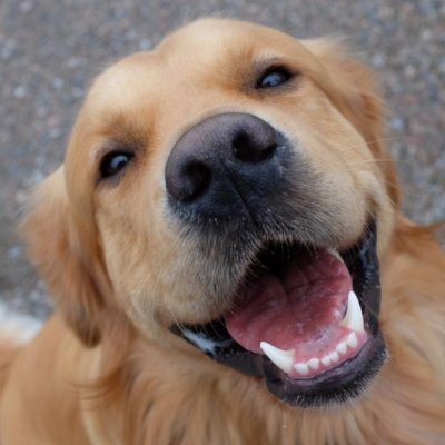 austinwade's profile picture. 