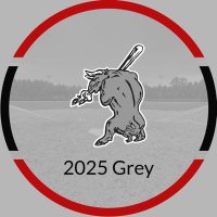 Indiana Bulls 2025 Grey (@in_bulls25grey) 's Twitter Profile