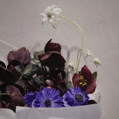 JyhTaurus's profile picture. 