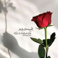 الاء جاسم (@mfylzby81951789) 's Twitter Profile Photo الاء جاسم (@mfylzby81951789) 's Twitter Profile Photo