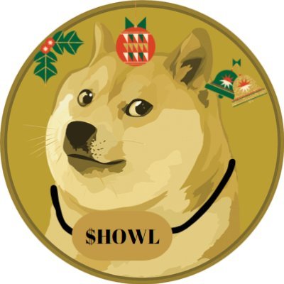 $HWLL The #dogecoin network 

 $howl for having the largest and best community driven token on the DRC20 network #doginals #drc20 🌑🔝🚀