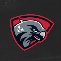 Nashville Nighthawks(@AFFLNighthawks) 's Twitter Profileg