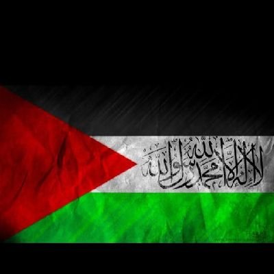 FREE PALESTINE