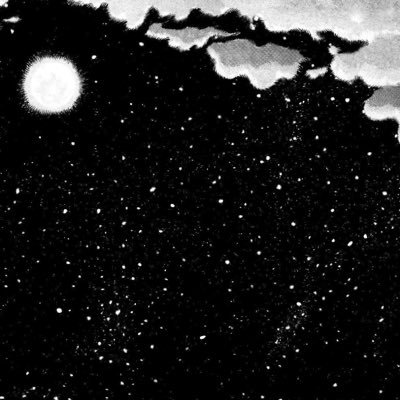 nonuevoo's profile picture. 