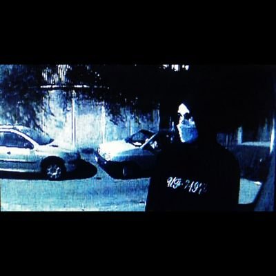 Xo_Erfan_oX's profile picture. NUMB.