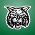 Waterford Lady Wildcats Basketball (@ladycatsbbal) Twitter profile photo