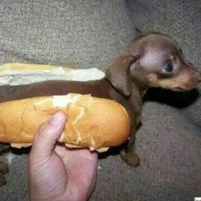 YBoy32's profile picture. 