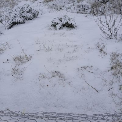 aguezenn's profile picture. 