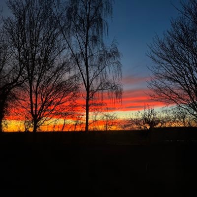 RubySophiar2211's profile picture. 