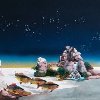 Aaron Wills (@aaronwills4) 's Twitter Profile Photo