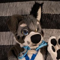 Dexter Shepherd (@dextershep_ad) 's Twitter Profile
