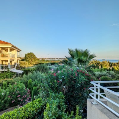 dozotte's profile picture. 🇫🇷