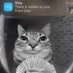 0x00000 (@0x00000d) Twitter profile photo 0x00000 (@0x00000d) Twitter profile photo