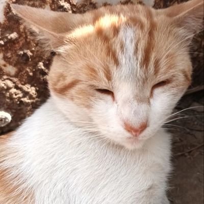 sofipc7's profile picture. ｡ﾟﾟ･｡･ﾟﾟ｡
ﾟ𝑫𝒐𝒏'𝒕 𝒏𝒆𝒆𝒅 𝒕𝒐 𝒕𝒂𝒍𝒌 𝒕𝒉𝒆 𝒕𝒂𝒍𝒌, 𝒋𝒖𝒔𝒕 𝒘𝒂𝒍𝒌 𝒕𝒉𝒆 𝒕𝒂𝒍𝒌 𝒕𝒐𝒏𝒊𝒈𝒉𝒕.