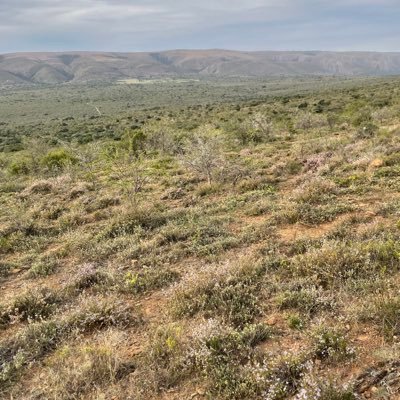 keaton_julian's profile picture. 