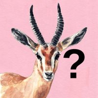 Curious Gazelle (Noticer 👀)(@CuriousGazelle) 's Twitter Profile Photo