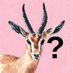 Curious Gazelle (Noticer 👀) (@CuriousGazelle) Twitter profile photo