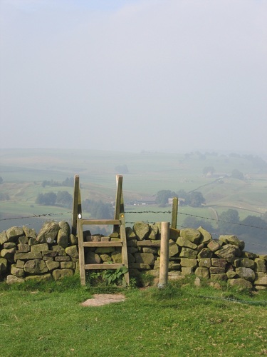 naishj's profile picture. 