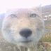 DanTheBigSwagMan (@angerykhajiit) Twitter profile photo DanTheBigSwagMan (@angerykhajiit) Twitter profile photo
