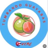 TumbandoGuayabas5(@TguayabasVCRC) 's Twitter Profile Photo