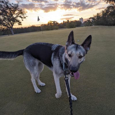 Scramble long drive champion. Former DII walk on. 41.