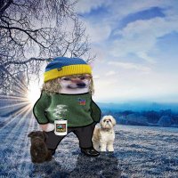 JaniceFella 🇺🇲 🇺🇦 🌊 Always In Left Field! (@woozy0613) 's Twitter Profile