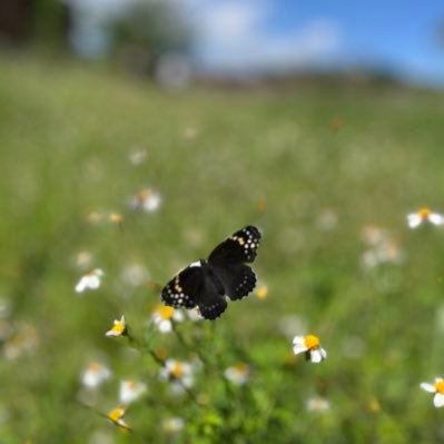 VictoriaDeltoro's profile picture. 