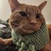Jennifer and Leonidas the kitty (@socojennedwards) Twitter profile photo Jennifer and Leonidas the kitty (@socojennedwards) Twitter profile photo