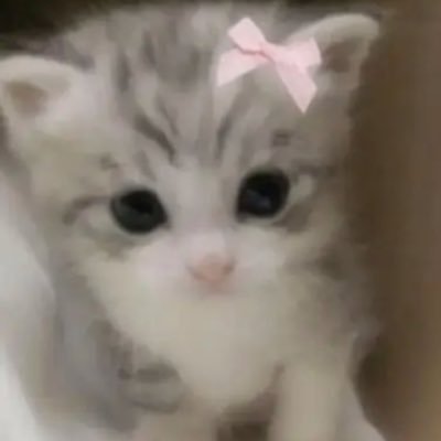 oheukdkdlzdlkf's profile picture.