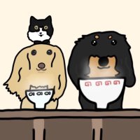 はちぷくおれお (@829oro) 's Twitter Profile Photo はちぷくおれお (@829oro) 's Twitter Profile Photo