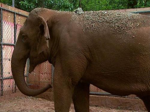 ficaMayson's profile picture. 