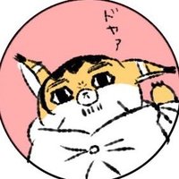 こつめ (@hyakumaruko) 's Twitter Profile