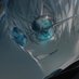 NaCly (@nacly_dove) Twitter profile photo NaCly (@nacly_dove) Twitter profile photo
