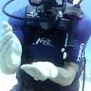 Jim Adamson - @mellowjim - Twitter