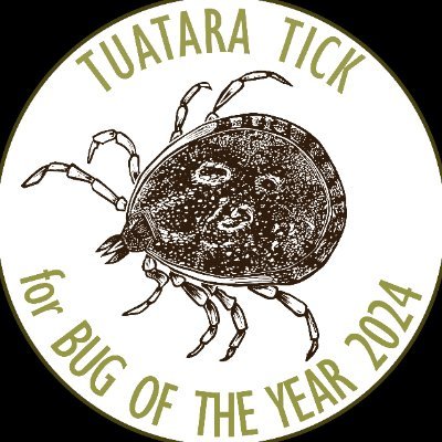 teamtuataratick Profile Picture