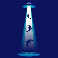 joecorbett (@joecorbett) 's Twitter Profile