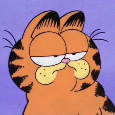 Garfield Enjoyer