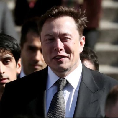 CEO Tesla Cars/spaceX