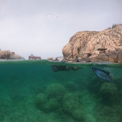 ziknop's profile picture. Vui là chính, kiếm được tiền càng vui hơn hehe 🤭
