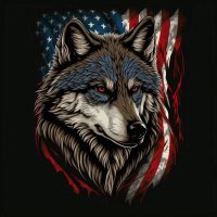 Lucas Wolfe (@lucaswolfe36926) 's Twitter Profile
