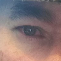 HERNÁN MÉNDEZ ALONSO (@hermendezexiste) 's Twitter Profile