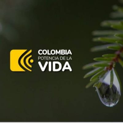Ibaguereño al 100%
Soñador de Valores y Principios
Me Gozo la Vida. Gobierno del cambio.