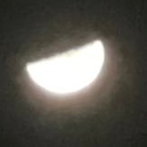 maboxss's profile picture. 最近HIPHOP入りました。 90年代から2000年代の日本語ラップが一番好きです (例外あり) にゃんこ民だよ