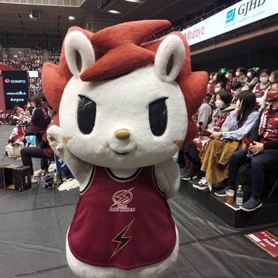 JBA公認C級コーチ
埼玉在住サンダースファミリー
サンダースファミリーの方、絡んでいただけると嬉しいです❗
絡んで頂いた方、無言フォロー失礼させていただいていますm(_ _)m