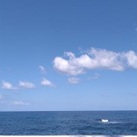 Nebil (@nebilkahil) 's Twitter Profile