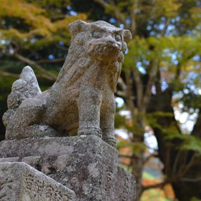 模型なんかやったことないのに美プラにハマった週末ローディー。筆塗りで綺麗に仕上がらず悶絶する日々。素晴らしい作品を作る方に無言フォロー飛ばしているがこれが失礼に当たらないか心配になる匿名掲示板育ち